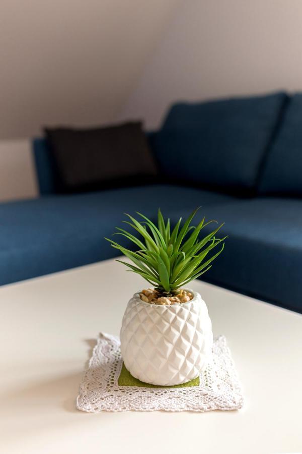 Apartmaji Rupnik Bohinjska Bistrica Zewnętrze zdjęcie