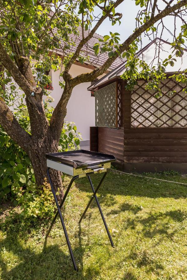 Apartmaji Rupnik Bohinjska Bistrica Zewnętrze zdjęcie