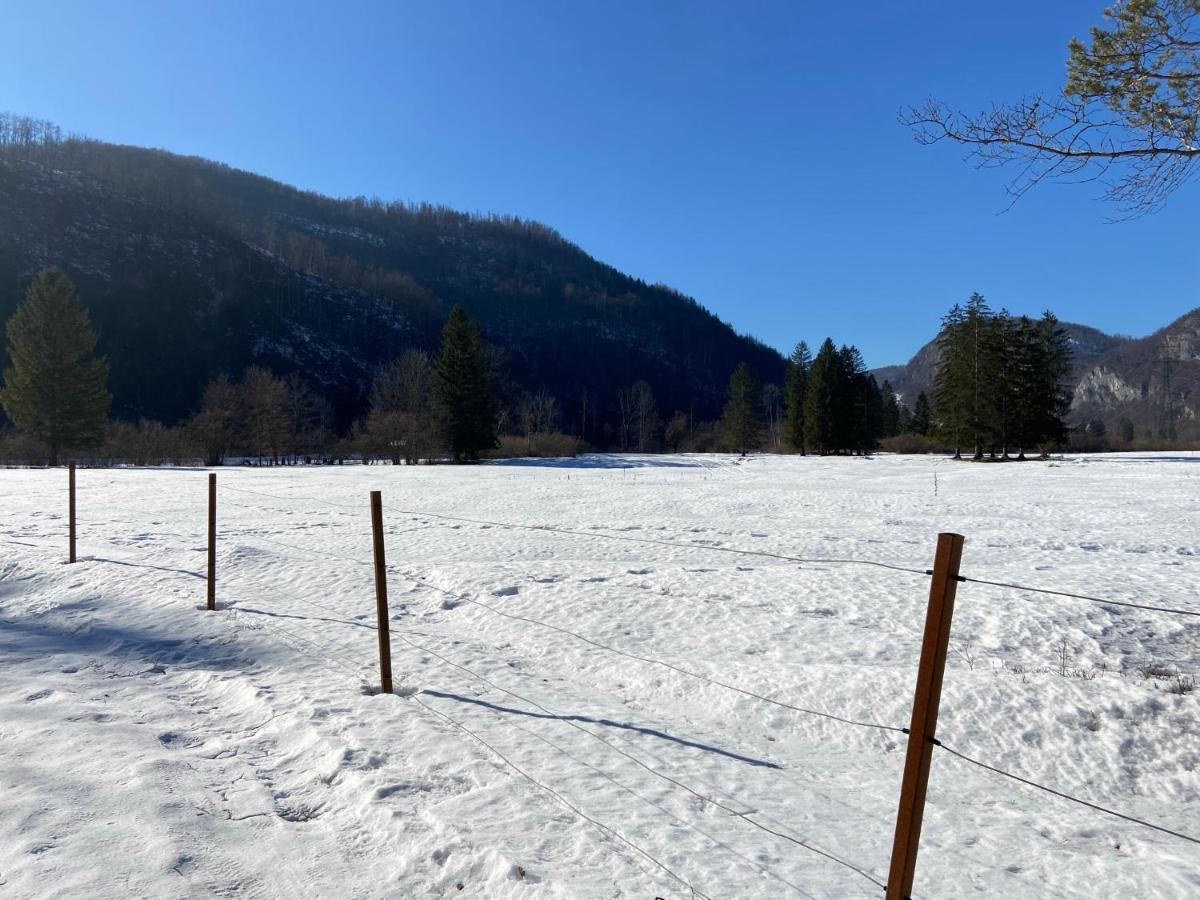 Apartmaji Rupnik Bohinjska Bistrica Zewnętrze zdjęcie